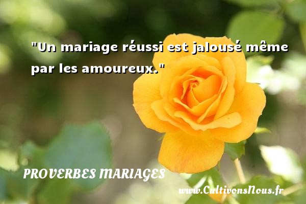 Un mariage réussi est jalousé même par les amoureux. PROVERBES MAROCAINS - Proverbes mariage