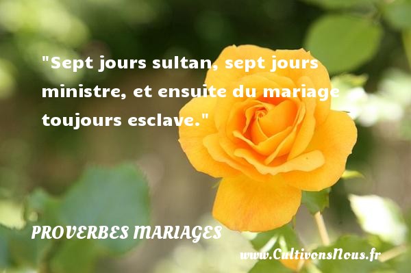 Sept jours sultan, sept jours ministre, et ensuite du mariage toujours esclave. PROVERBES ALGÉRIENS - Proverbes Algériens - Proverbes mariage