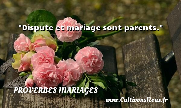 Dispute et mariage sont parents. PROVERBES MALGACHES - Proverbes mariage