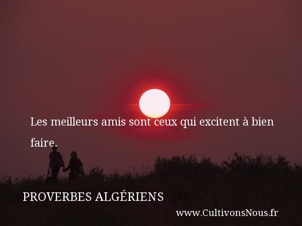 Les meilleurs amis sont ceux qui excitent à bien faire. PROVERBES ALGÉRIENS - Proverbes Algériens - Proverbes fun
