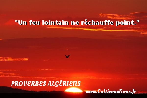 Un feu lointain ne réchauffe point. PROVERBES ALGÉRIENS - Proverbes Algériens - Proverbes philosophiques