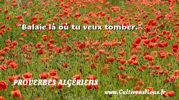 Balaie là où tu veux tomber. PROVERBES ALGÉRIENS - Proverbes Algériens - Proverbes philosophiques