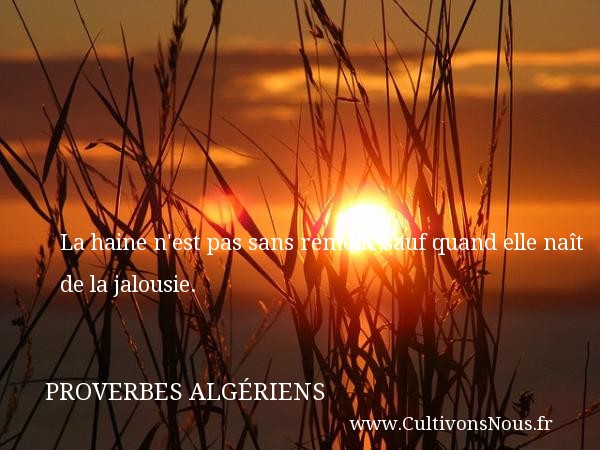 La haine n est pas sans remède,sauf quand elle naît de la jalousie. PROVERBES ALGÉRIENS - Proverbes Algériens - Proverbes philosophiques