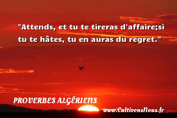 Attends, et tu te tireras d affaire;si tu te hâtes, tu en auras du regret. PROVERBES ALGÉRIENS - Proverbes Algériens - Proverbes philosophiques