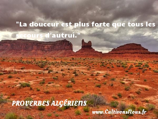 La douceur est plus forte que tous les secours d autrui. PROVERBES ALGÉRIENS - Proverbes Algériens - Proverbes philosophiques