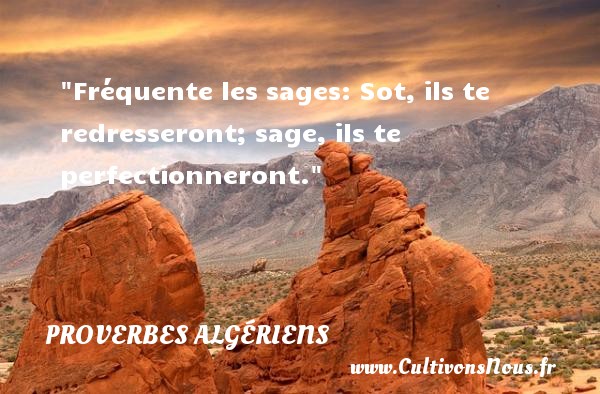 Fréquente les sages: Sot, ils te redresseront; sage, ils te perfectionneront. PROVERBES ALGÉRIENS - Proverbes Algériens - Proverbes philosophiques