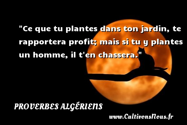 Ce que tu plantes dans ton jardin, te rapportera profit; mais si tu y plantes un homme, il t en chassera. PROVERBES ALGÉRIENS - Proverbes Algériens - Proverbes philosophiques