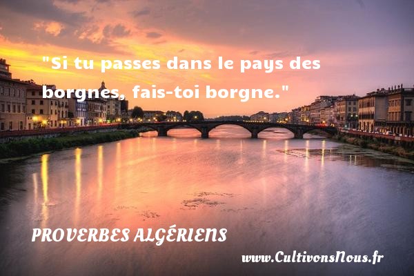 Si tu passes dans le pays des borgnes, fais-toi borgne. PROVERBES ALGÉRIENS - Proverbes Algériens - Proverbes philosophiques