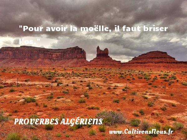 Pour avoir la moëlle, il faut briser l os. PROVERBES ALGÉRIENS - Proverbes Algériens - Proverbes philosophiques