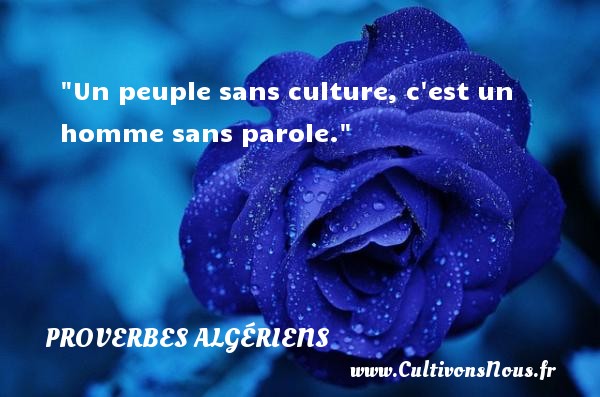 Un peuple sans culture, c est un homme sans parole. PROVERBES ALGÉRIENS - Proverbes Algériens - Proverbes connus