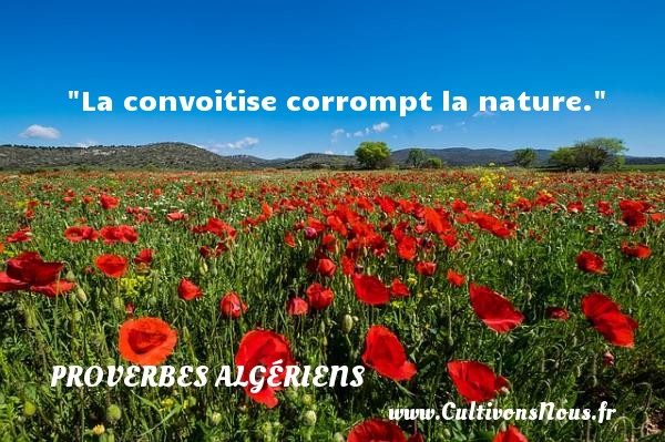 La convoitise corrompt la nature. PROVERBES ALGÉRIENS - Proverbes Algériens - Proverbes philosophiques