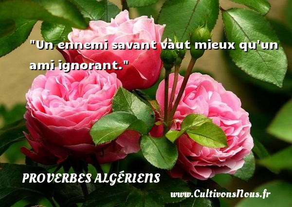 Un ennemi savant vaut mieux qu un ami ignorant. PROVERBES ALGÉRIENS - Proverbes Algériens - Proverbes philosophiques