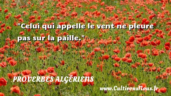 Celui qui appelle le vent ne pleure pas sur la paille. PROVERBES ALGÉRIENS - Proverbes Algériens - Proverbes philosophiques