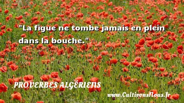 La figue ne tombe jamais en plein dans la bouche. PROVERBES ALGÉRIENS - Proverbes Algériens - Proverbes philosophiques