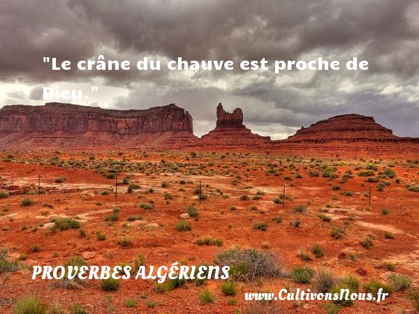 Le crâne du chauve est proche de Dieu. PROVERBES ALGÉRIENS - Proverbes Algériens - Proverbes philosophiques