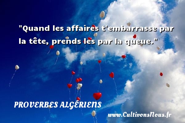 Quand les affaires t embarrasse par la tête, prends les par la queue. PROVERBES ALGÉRIENS - Proverbes Algériens - Proverbes connus