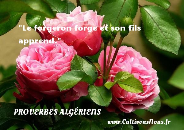 Le forgeron forge et son fils apprend. PROVERBES ALGÉRIENS - Proverbes Algériens - Proverbes fun