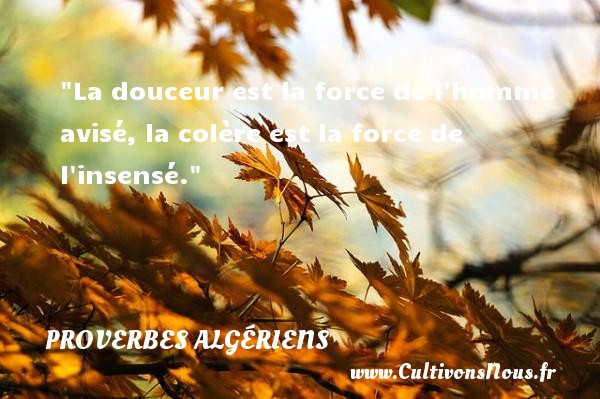 La douceur est la force de l homme avisé, la colère est la force de l insensé. PROVERBES ALGÉRIENS - Proverbes Algériens - Proverbes philosophiques