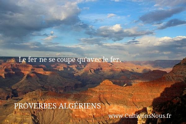 Le fer ne se coupe qu avec le fer. PROVERBES ALGÉRIENS - Proverbes Algériens - Proverbes philosophiques