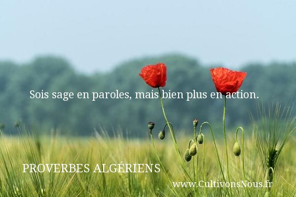 Sois sage en paroles, mais bien plus en action. PROVERBES ALGÉRIENS - Proverbes Algériens