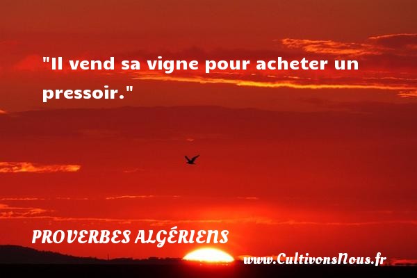 Il vend sa vigne pour acheter un pressoir. PROVERBES ALGÉRIENS - Proverbes Algériens