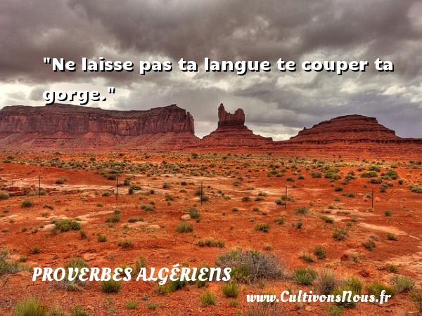 Ne laisse pas ta langue te couper ta gorge. PROVERBES ALGÉRIENS - Proverbes Algériens