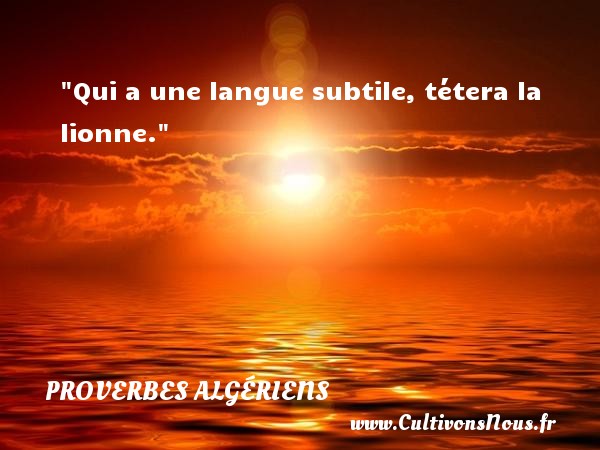 Qui a une langue subtile, tétera la lionne. PROVERBES ALGÉRIENS - Proverbes Algériens