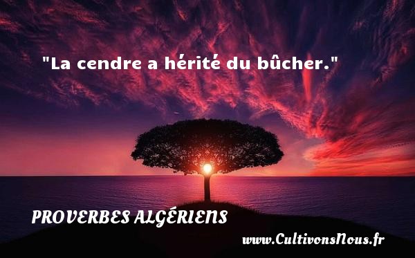 La cendre a hérité du bûcher. PROVERBES ALGÉRIENS - Proverbes Algériens