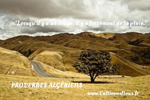 Lorsqu il y a un orage, il y a forcément de la pluie. PROVERBES ALGÉRIENS - Proverbes Algériens