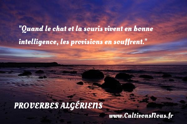 Quand le chat et la souris vivent en bonne intelligence, les provisions en souffrent. PROVERBES ALGÉRIENS - Proverbes Algériens
