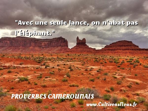 Avec une seule lance, on n abat pas l éléphant. PROVERBES CAMEROUNAIS - Proverbes philosophiques