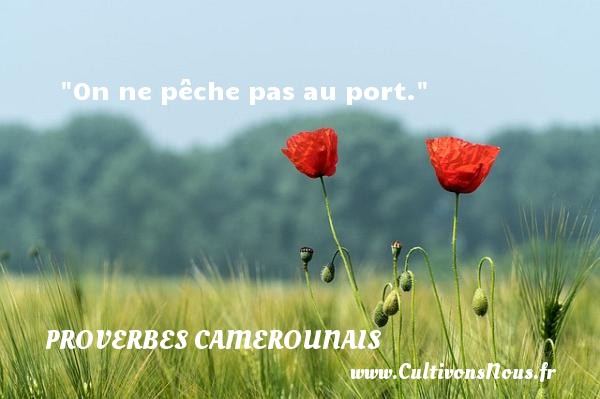 On ne pêche pas au port. PROVERBES CAMEROUNAIS - Proverbes philosophiques