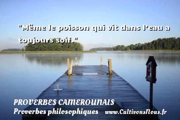 Même le poisson qui vit dans l’eau a toujours soif. PROVERBES CAMEROUNAIS - Proverbes philosophiques