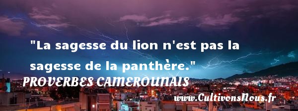 La sagesse du lion n est pas la sagesse de la panthère. PROVERBES CAMEROUNAIS - Proverbes philosophiques