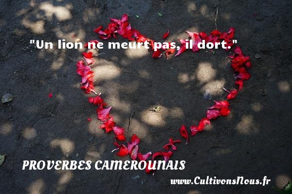 Un lion ne meurt pas, il dort. PROVERBES CAMEROUNAIS