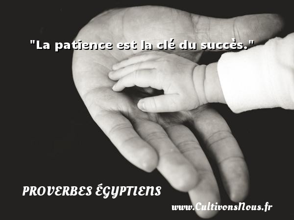 La patience est la clé du succès. PROVERBES ÉGYPTIENS - Proverbes égyptiens