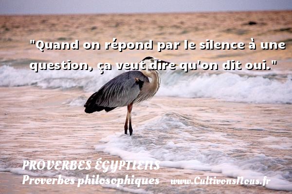 Quand on répond par le silence à une question, ça veut dire qu on dit oui. PROVERBES ÉGYPTIENS - Proverbes égyptiens - Proverbes philosophiques