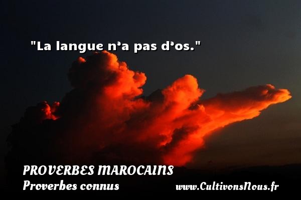 La langue n’a pas d’os. PROVERBES MAROCAINS - Proverbes connus - Proverbes philosophiques