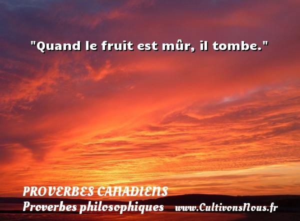 Quand le fruit est mûr, il tombe. PROVERBES CANADIENS - Proverbes philosophiques