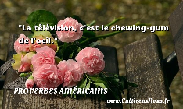 La télévision, c est le chewing-gum de l oeil. PROVERBES AMÉRICAINS - Proverbes américains