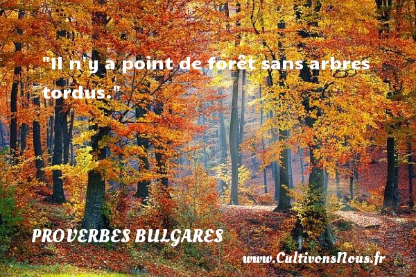 Il n y a point de forêt sans arbres tordus. PROVERBES BULGARES - Proverbes philosophiques