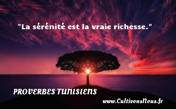 La sérénité est la vraie richesse. PROVERBES TUNISIENS - Proverbes philosophiques