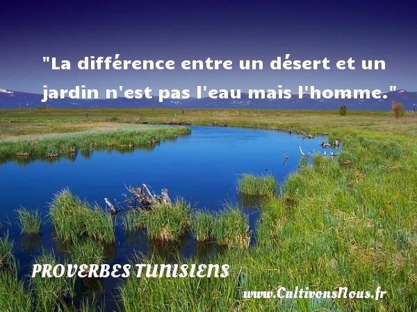 La différence entre un désert et un jardin n est pas l eau mais l homme. PROVERBES TUNISIENS - Proverbe jardin