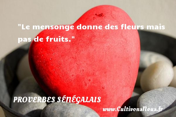 Le mensonge donne des fleurs mais pas de fruits. PROVERBES SÉNÉGALAIS - Proverbes sénégalais - Proverbe mensonge