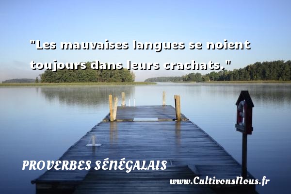 Les mauvaises langues se noient toujours dans leurs crachats. PROVERBES SÉNÉGALAIS - Proverbes sénégalais