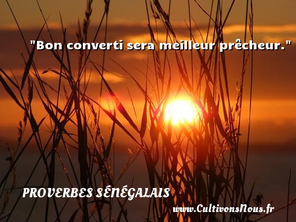 Bon converti sera meilleur prêcheur. PROVERBES SÉNÉGALAIS - Proverbes sénégalais
