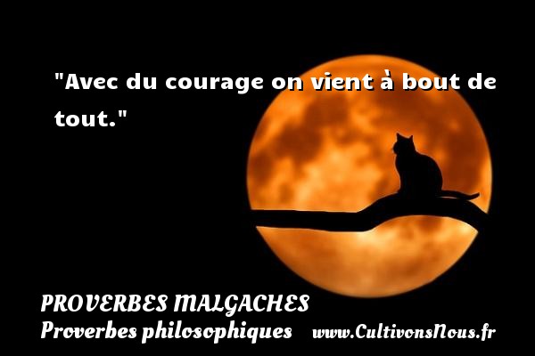 Avec du courage on vient à bout de tout. PROVERBES MALGACHES - Proverbes philosophiques - Proverbes vie