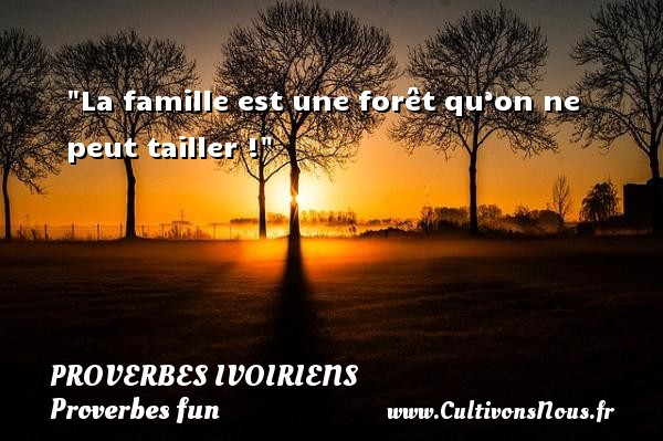 La famille est une forêt qu’on ne peut tailler ! PROVERBES IVOIRIENS - Proverbes fun - Proverbes philosophiques