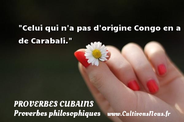 Celui qui n a pas d origine Congo en a de Carabali. PROVERBES CUBAINS - Proverbe bain - Proverbes philosophiques
