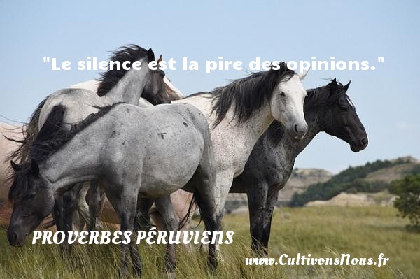 Le silence est la pire des opinions. PROVERBES PÉRUVIENS - Proverbes péruviens - Proverbes philosophiques